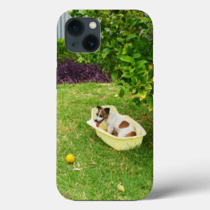 Charlie The Fox Terrier Bath Time, iPhone 13 Case