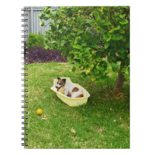 Charlie The Fox Terrier Bath Time, Notebook