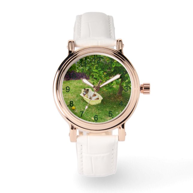 Charlie The Fox Terrier Bath Time,  Watch (Front)