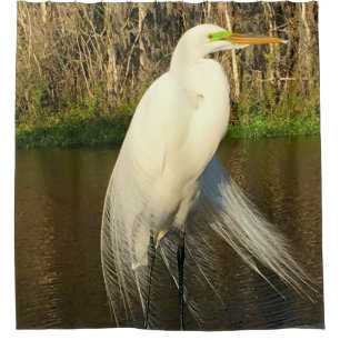 Charlie The Great Egret