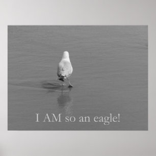 Charlie the lonely seagull - I am so an eagle! Poster