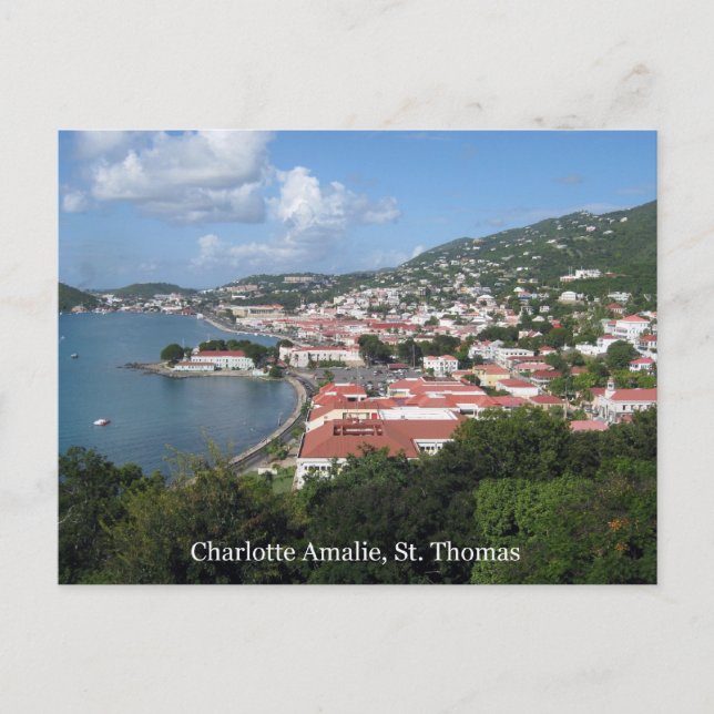 Charlotte Amalie, St. Thomas Postcard (Front)