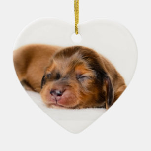 Charlotte Newborn-Lovebugdoxies puppy keepsake Ceramic Ornament