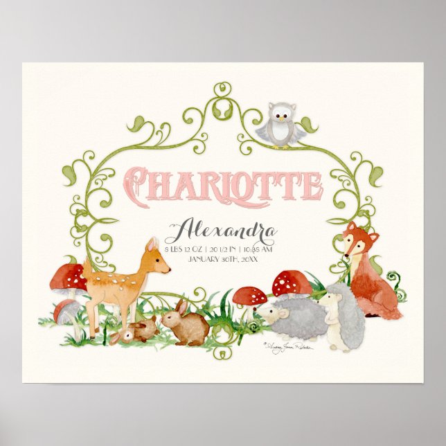 Charlotte Top 100 Baby Names Girls Newborn Nursery Poster (Front)