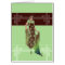 CHARLOTTE'S SHAWL, 1920s Fashion in Green & Brown