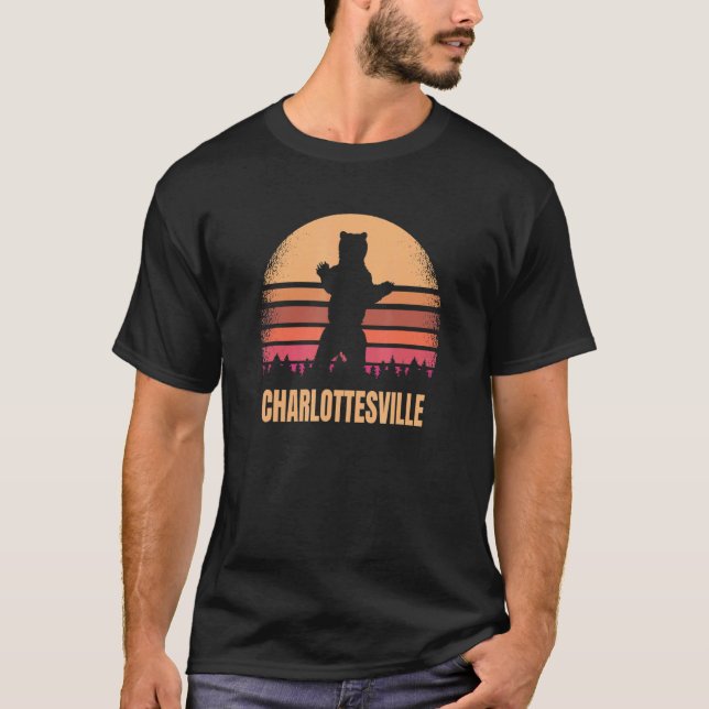 Charlottesville Virginia Vintage Bear Va Distresse T-Shirt (Front)