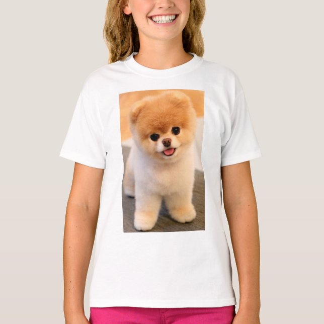 Charmant T-shirt de filles Poméraniennes. (Devant)