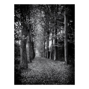 Charming black and white forest photo poster