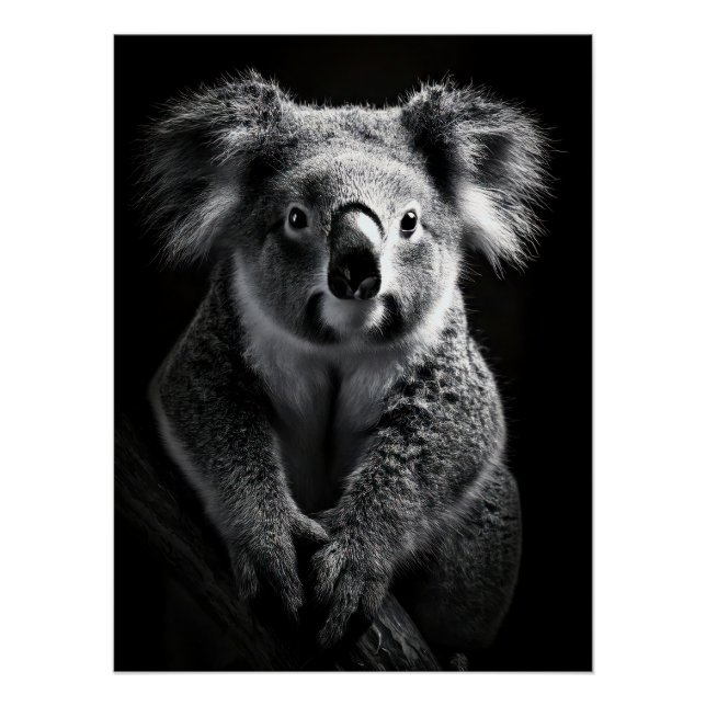 Charming Black & White Koala Fine Art Print | (Front)