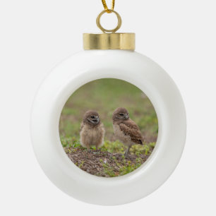 Charming Burrowing Owls of Florida Ceramic Ball Christmas Ornament