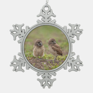 Charming Burrowing Owls of Florida Snowflake Pewter Christmas Ornament