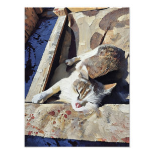 Charming Cat Relaxing in Sunlight Photo Print