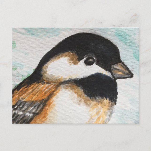 Charming Chickadee Bird Watercolor Cute Small Postcard (Front)