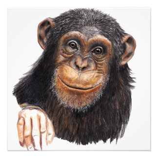 Charming Chimpanzee Photo Print