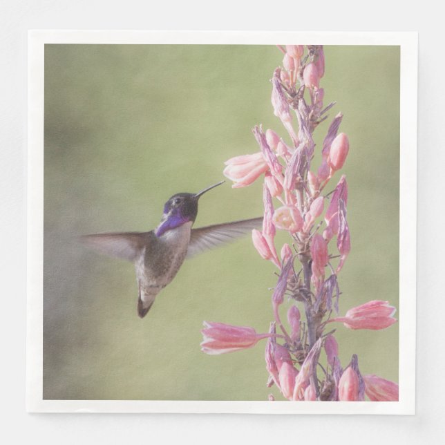 Charming Costa's Hummingbird Napkin (Front)
