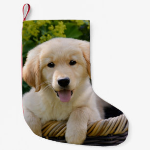 Charming Goldie Dog Cute Puppy Santa mantle Small Christmas Stocking