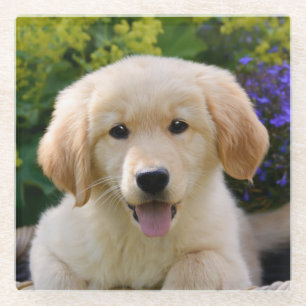 Charming Goldie Dog Puppy Cute Photo, Table-Decor Glass Coaster
