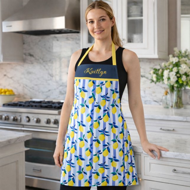 Charming Lemons Blue Stripe Mediterranean Pattern  Apron (Creator Uploaded)