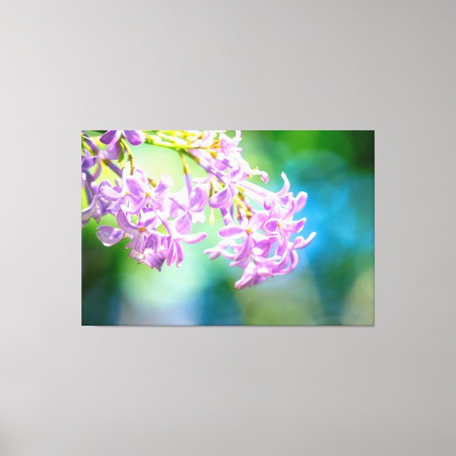 Charming Lilac Flowers Canvas Print (Front)