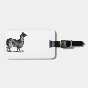 Charming Llama Sketch, Cute Animal Ink Drawing Luggage Tag
