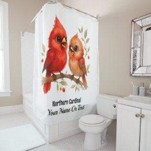 Charming Northern Cardinal