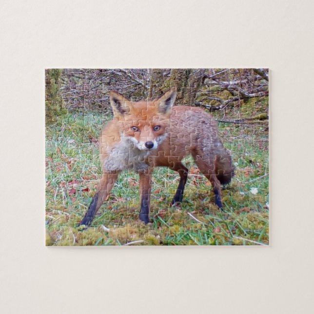 Charming Red Fox Wildlife Portrait Snow Scene  Jigsaw Puzzle (Horizontal)