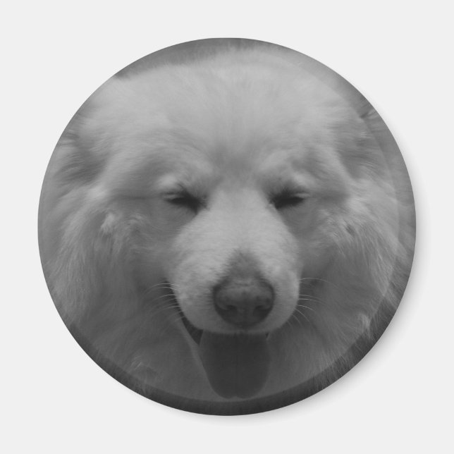 Charming Smile Magnet (Front)