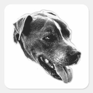 Charming Smile Pitbull Mix Art Sticker