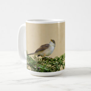 Charming Sparrow Bird Photograph Coffee Mug