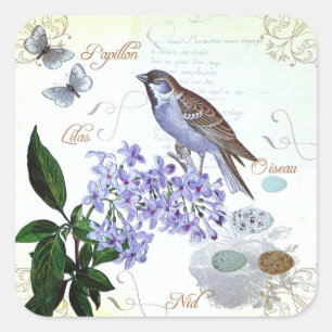 Charming Vintage French Bird Text Floral Collage Square Sticker