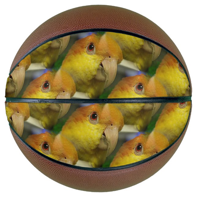Charming White Bellied Caique Parrot Basketball (Front)