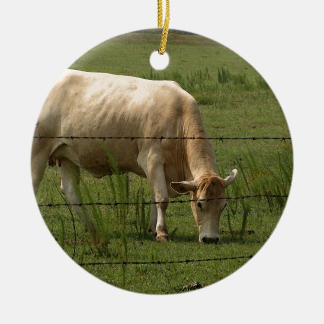 Charolais Cow Grazing in Field Ceramic Ornament (Front)