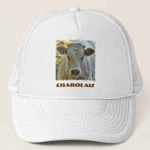 Charolais hat