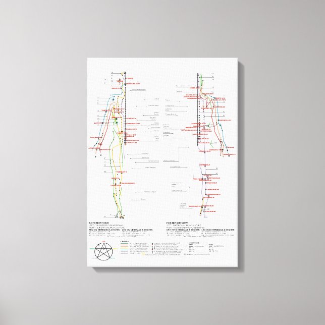 Chart of Human Meridians Canvas Print (Front)