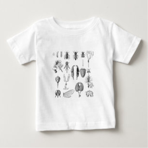 Chart of Insect Parts Baby T-Shirt