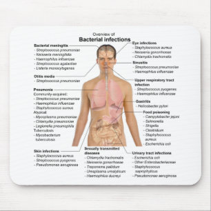 Chart of the bacterial infections in Humans  Mouse Pad