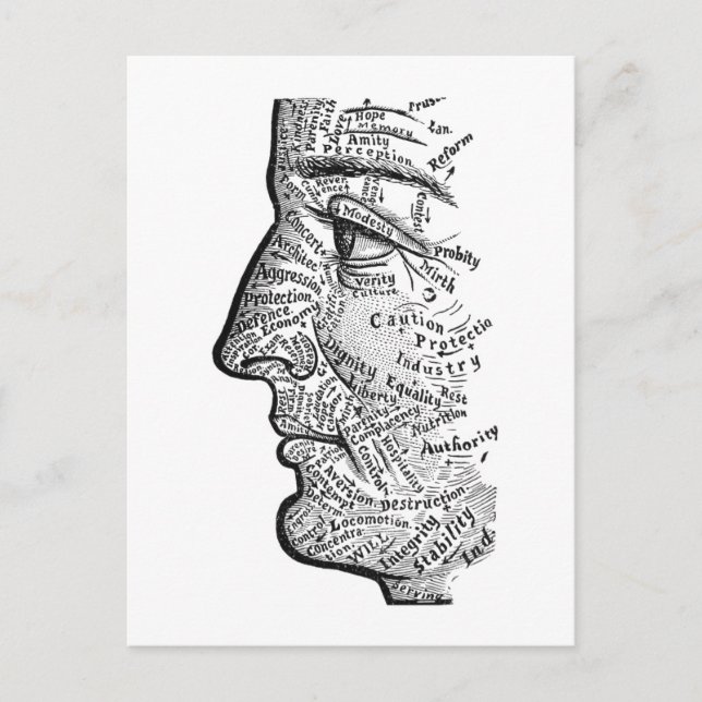 "Chart of the Face" Postcard (Front)