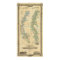 Chart of The Lower Mississippi River