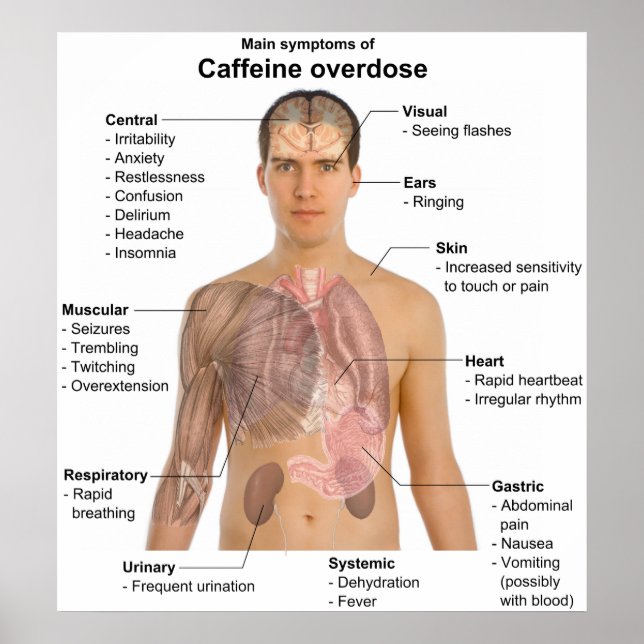 Chart of the Main Symptoms of a Caffeine Overdose (Front)