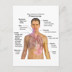 Chart of the Symptoms of Pneumonia Postcard
