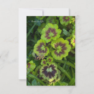 Chartreuse Coloured Geranium Leaves Card