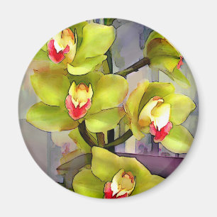 Chartreuse Cymbidiums Magnet