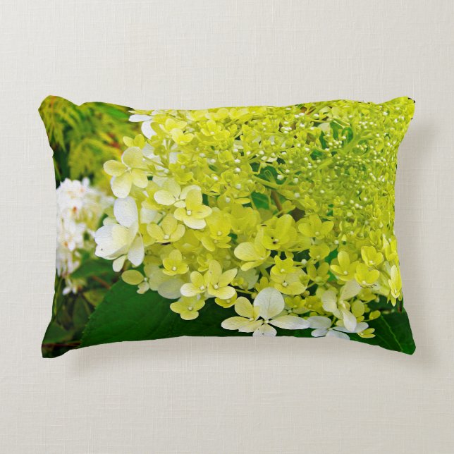 Chartreuse Green, Limelight Hydrangea, Accent Pillow (Front)
