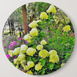 Chartreuse Green Limelight Hydrangea Garden 6 Inch Round Button