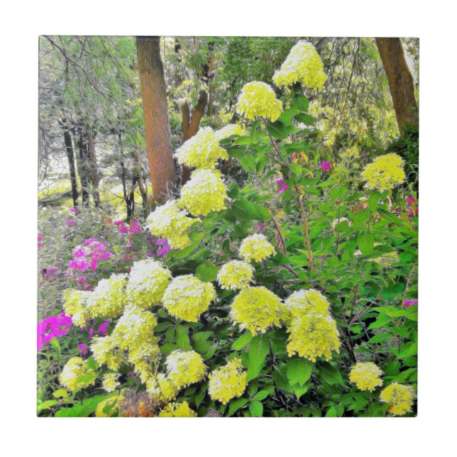 Chartreuse Green Limelight Hydrangea Garden Tile (Front)