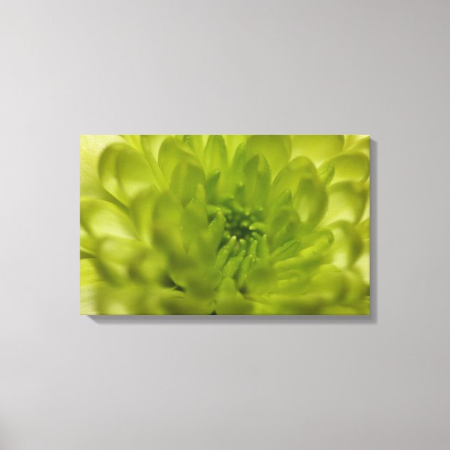 Chartreuse Green Mum Wrapped Canvas (Front)