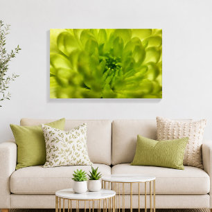 Chartreuse Green Mum Wrapped Canvas