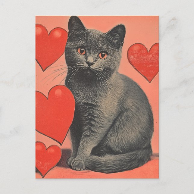 Chartreux cat vintage Valentine's Day  Postcard (Front)