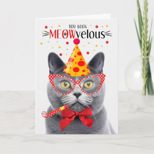 Chartreux Grey Cat MEOWvelous Birthday Card