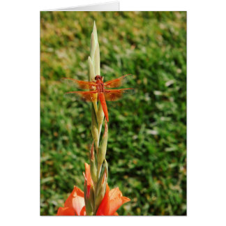 Chase the Dragon